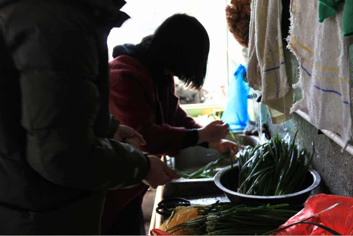 饺子照片